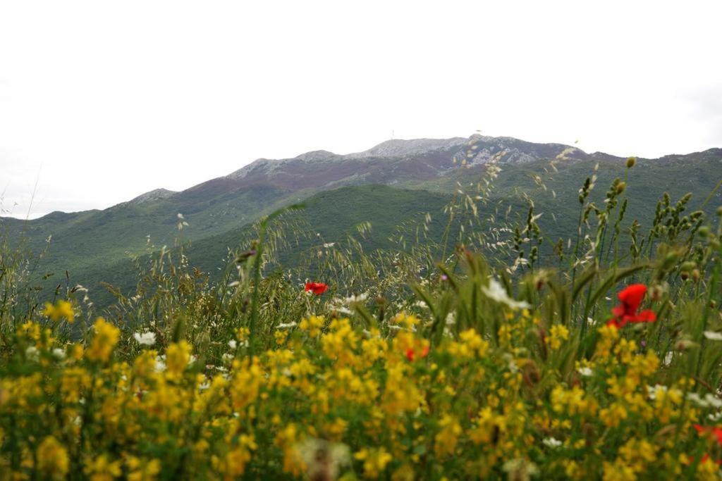 Malena Villa Zagvozd Buitenkant foto