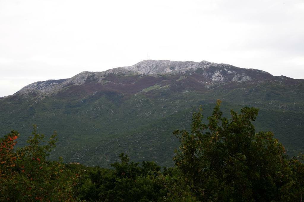 Malena Villa Zagvozd Buitenkant foto
